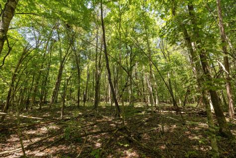 0 Shapiro Trail Columbia TN 38401
