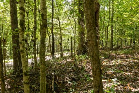 0 Shapiro Trail Columbia TN 38401