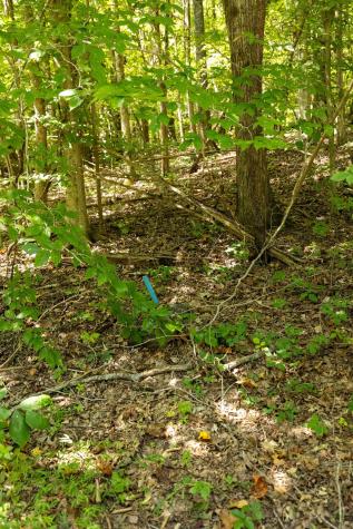 0 Shapiro Trail Columbia TN 38401