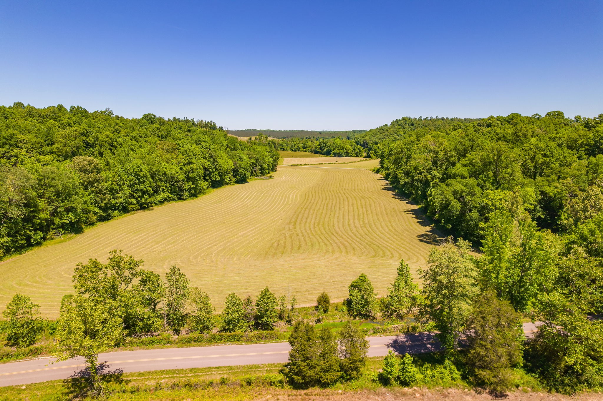 2119 Bunches Chapel Road Parsons TN 38363