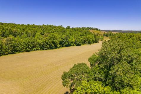 2119 Bunches Chapel Road Parsons TN 38363