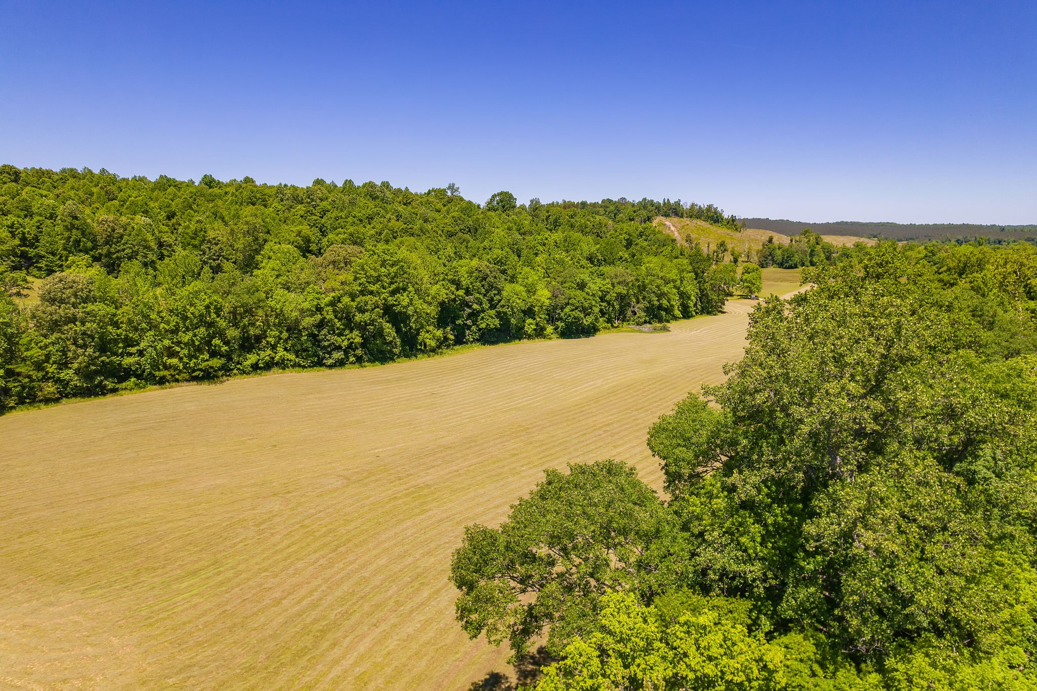 2119 Bunches Chapel Road Parsons TN 38363