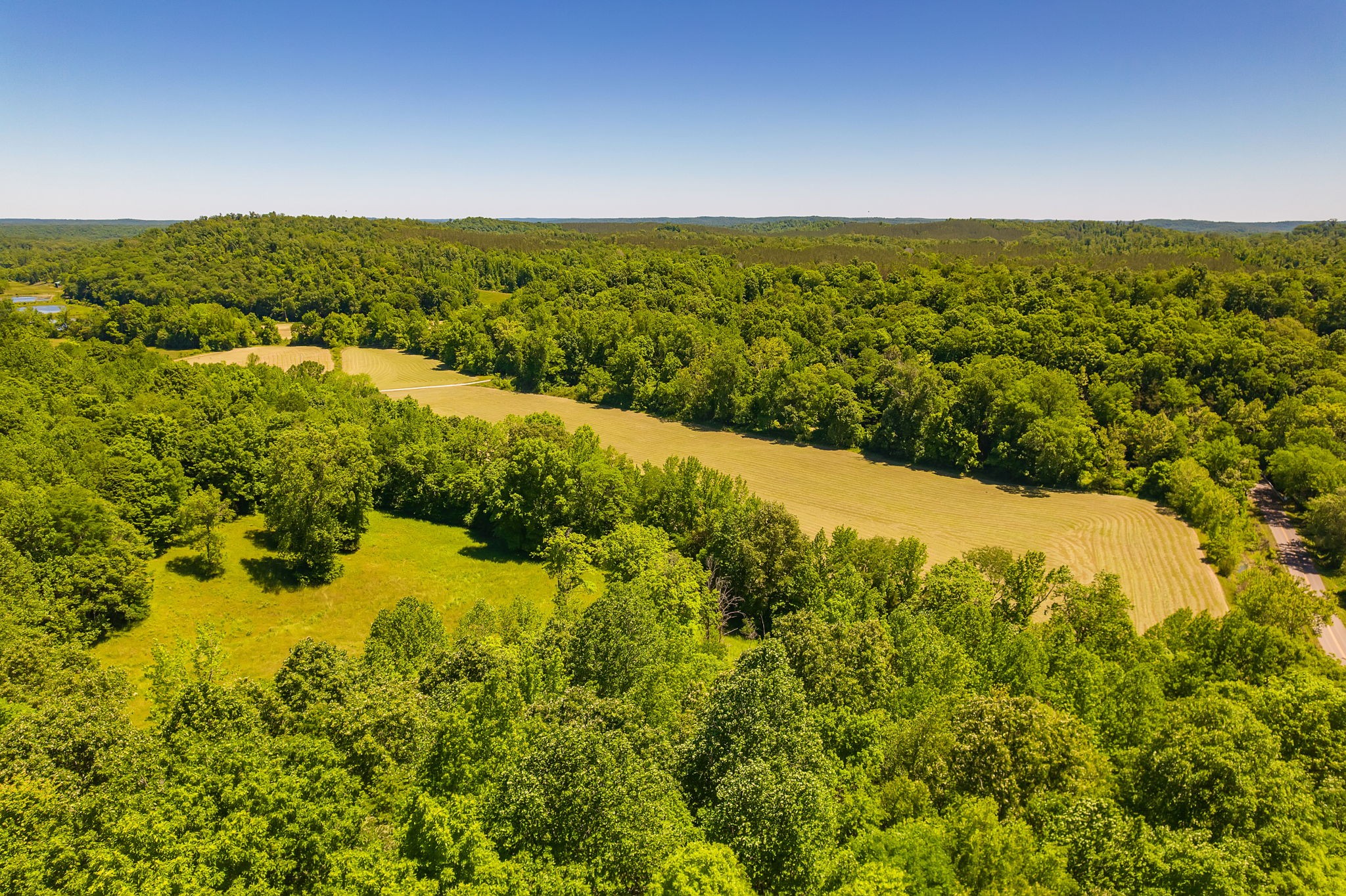 2119 Bunches Chapel Road Parsons TN 38363
