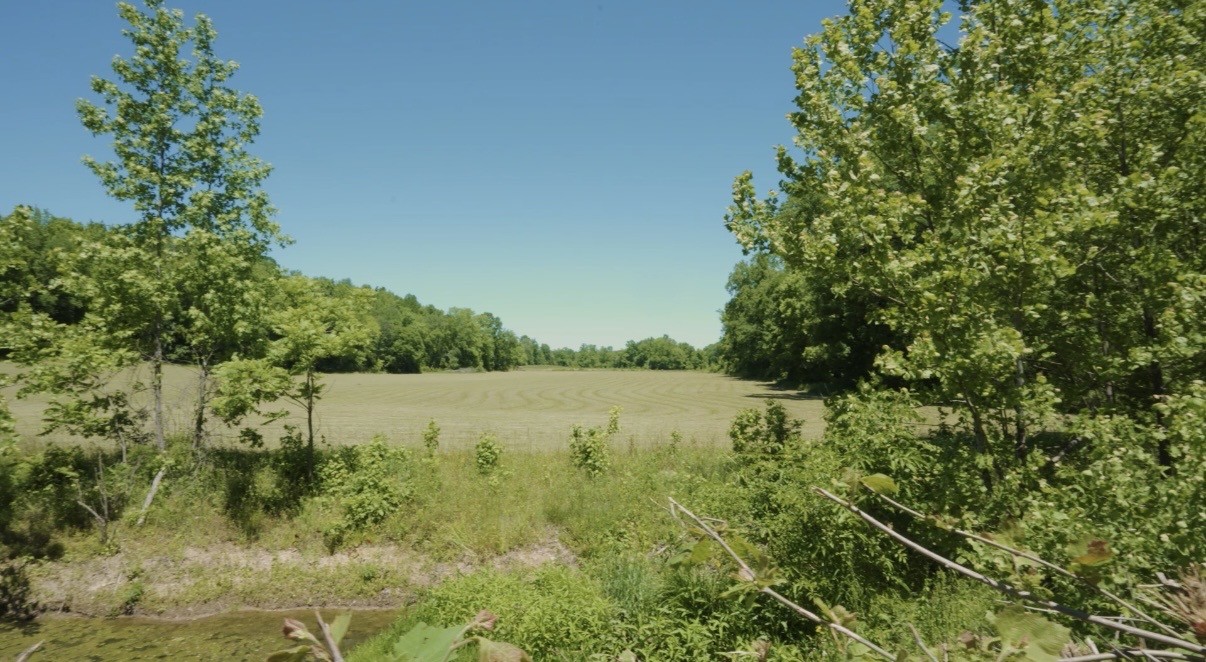 2119 Bunches Chapel Road Parsons TN 38363