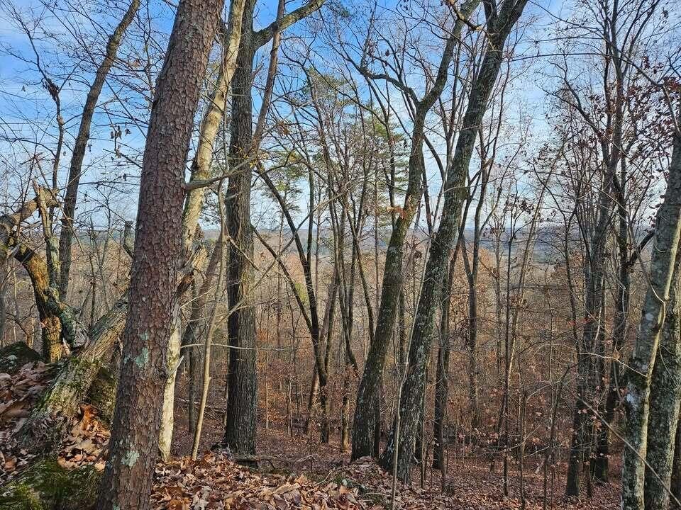 25 Countryside Drive Evensville TN 37332