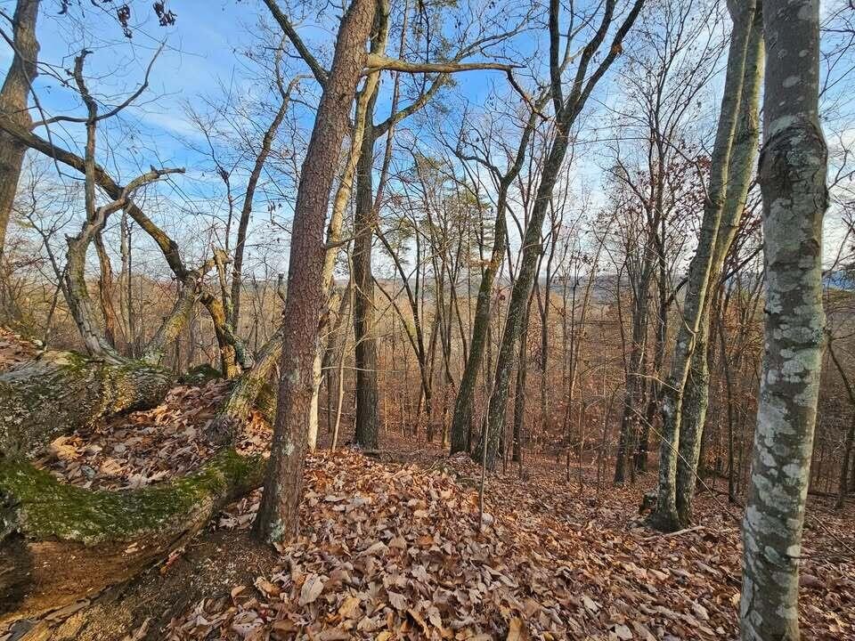 25 Countryside Drive Evensville TN 37332