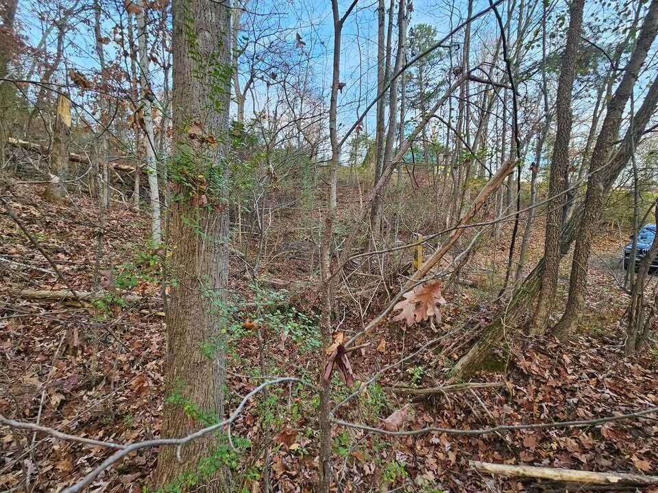 25 Countryside Drive Evensville TN 37332