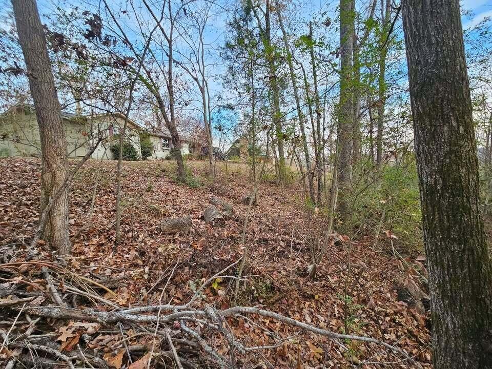 25 Countryside Drive Evensville TN 37332