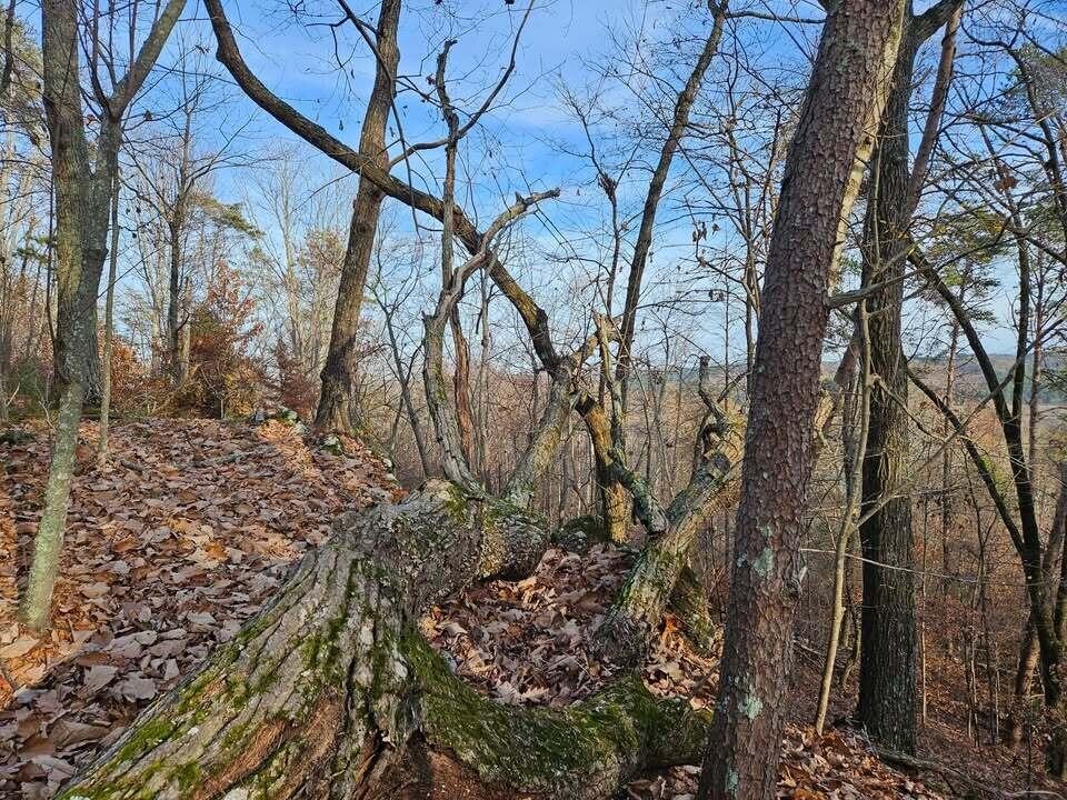 25 Countryside Drive Evensville TN 37332
