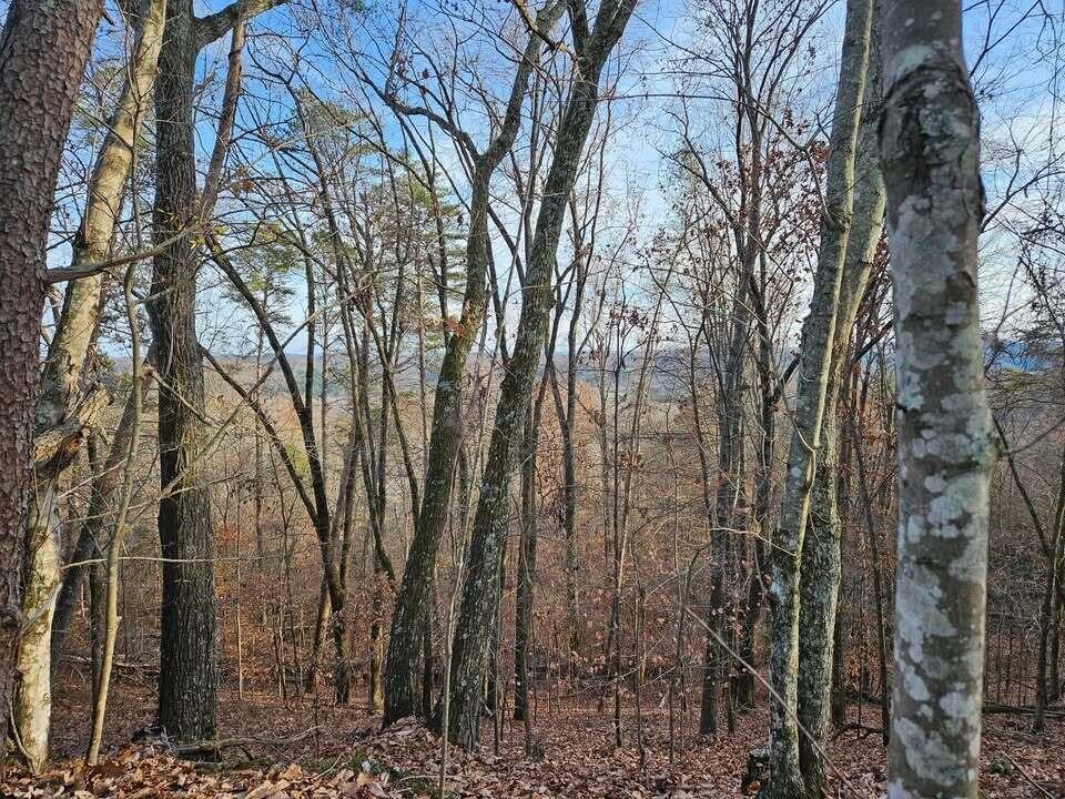 25 Countryside Drive Evensville TN 37332