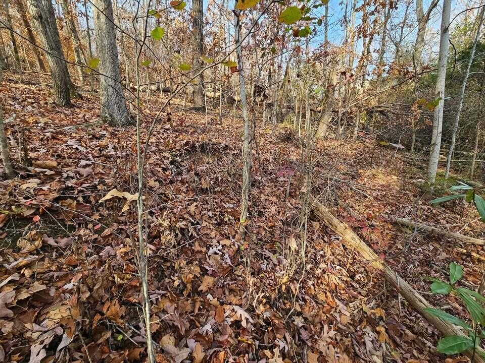25 Countryside Drive Evensville TN 37332