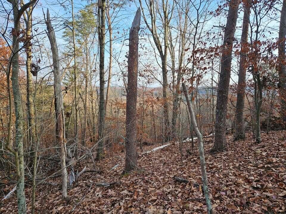 25 Countryside Drive Evensville TN 37332