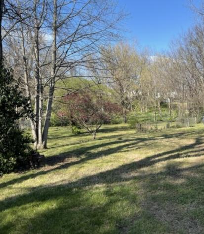 1007 Petway Ave, NE Nashville TN 37206