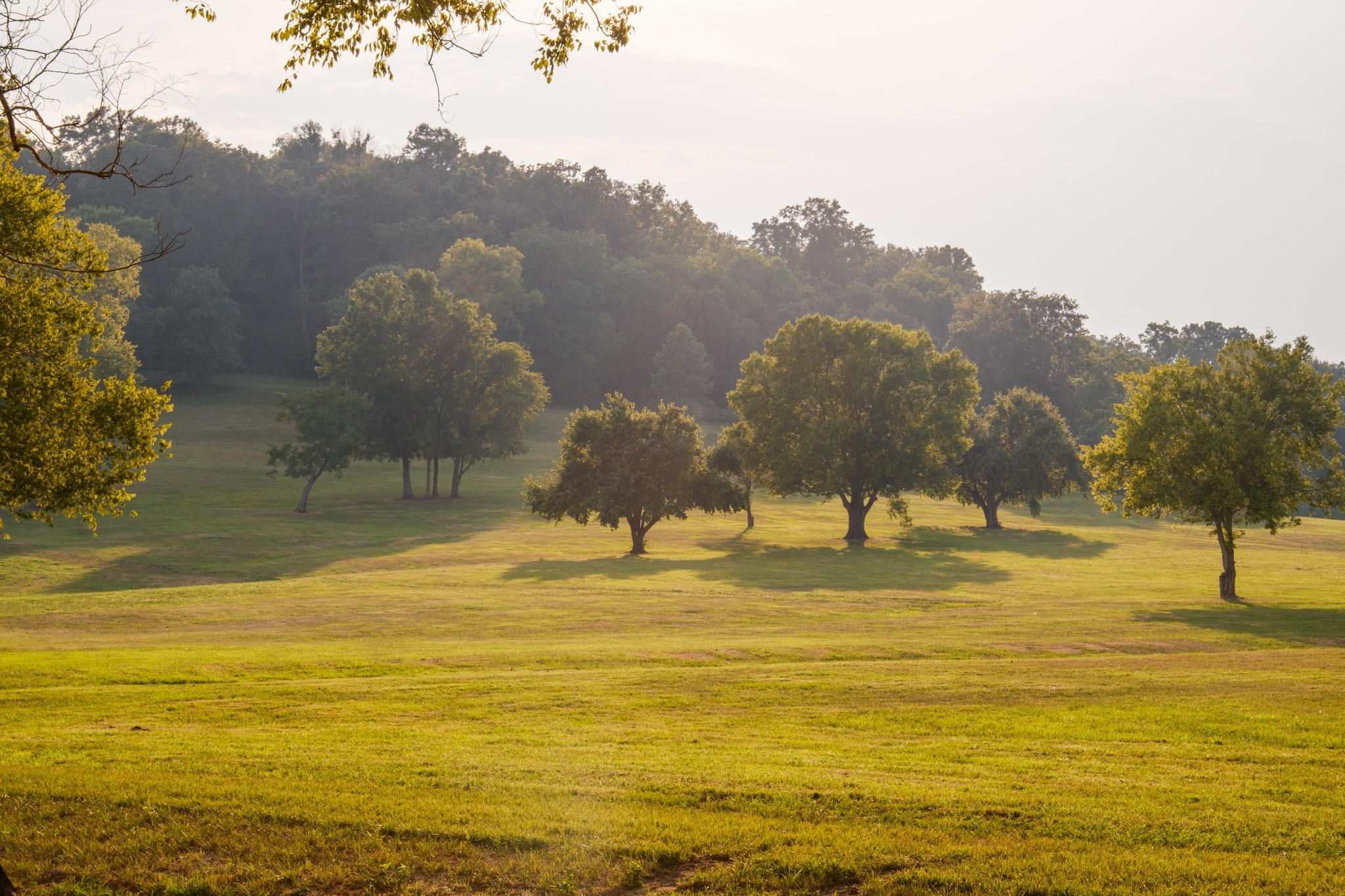 3530 Bailey Road Franklin TN 37064