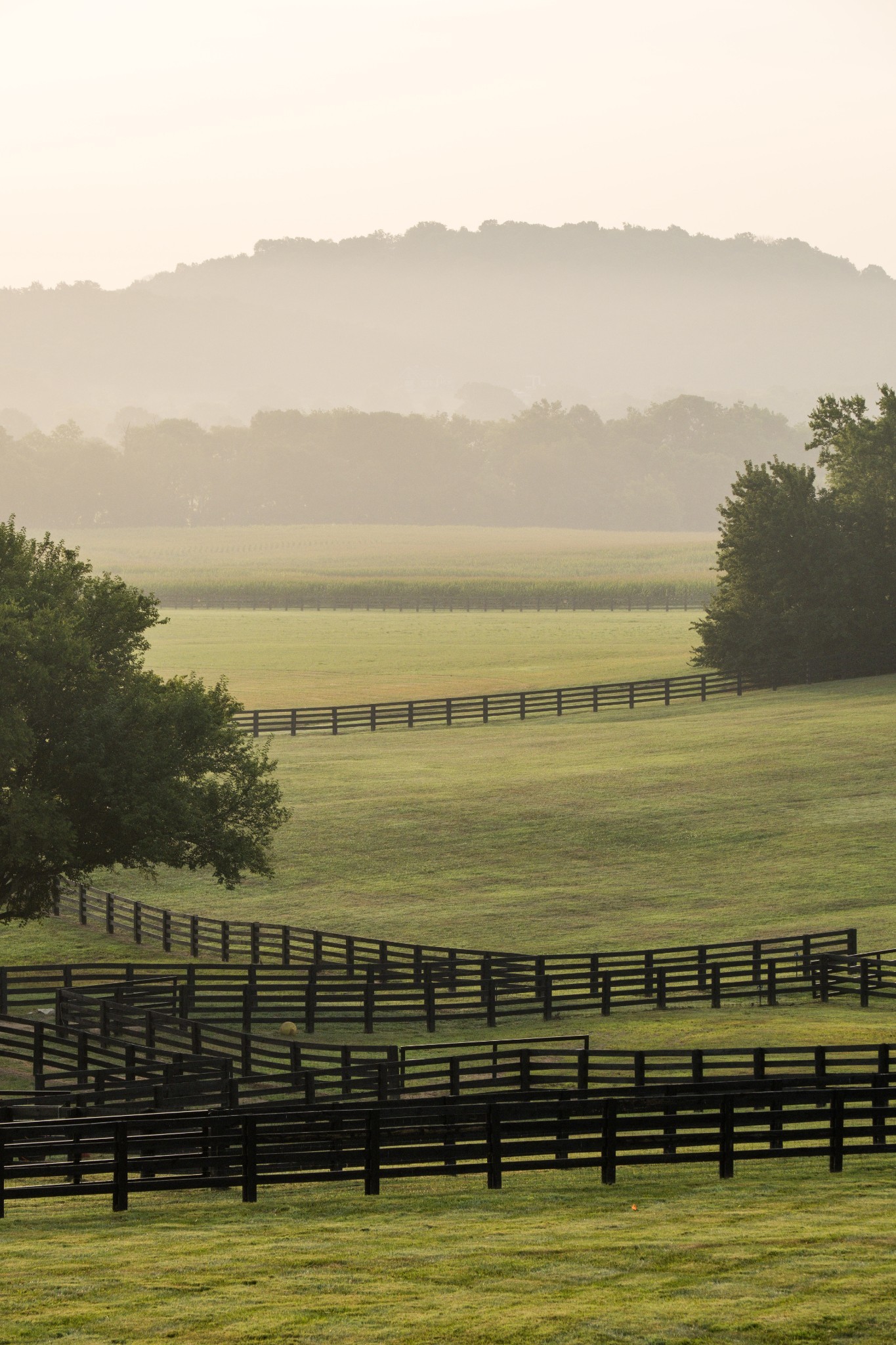 3530 Bailey Road Franklin TN 37064