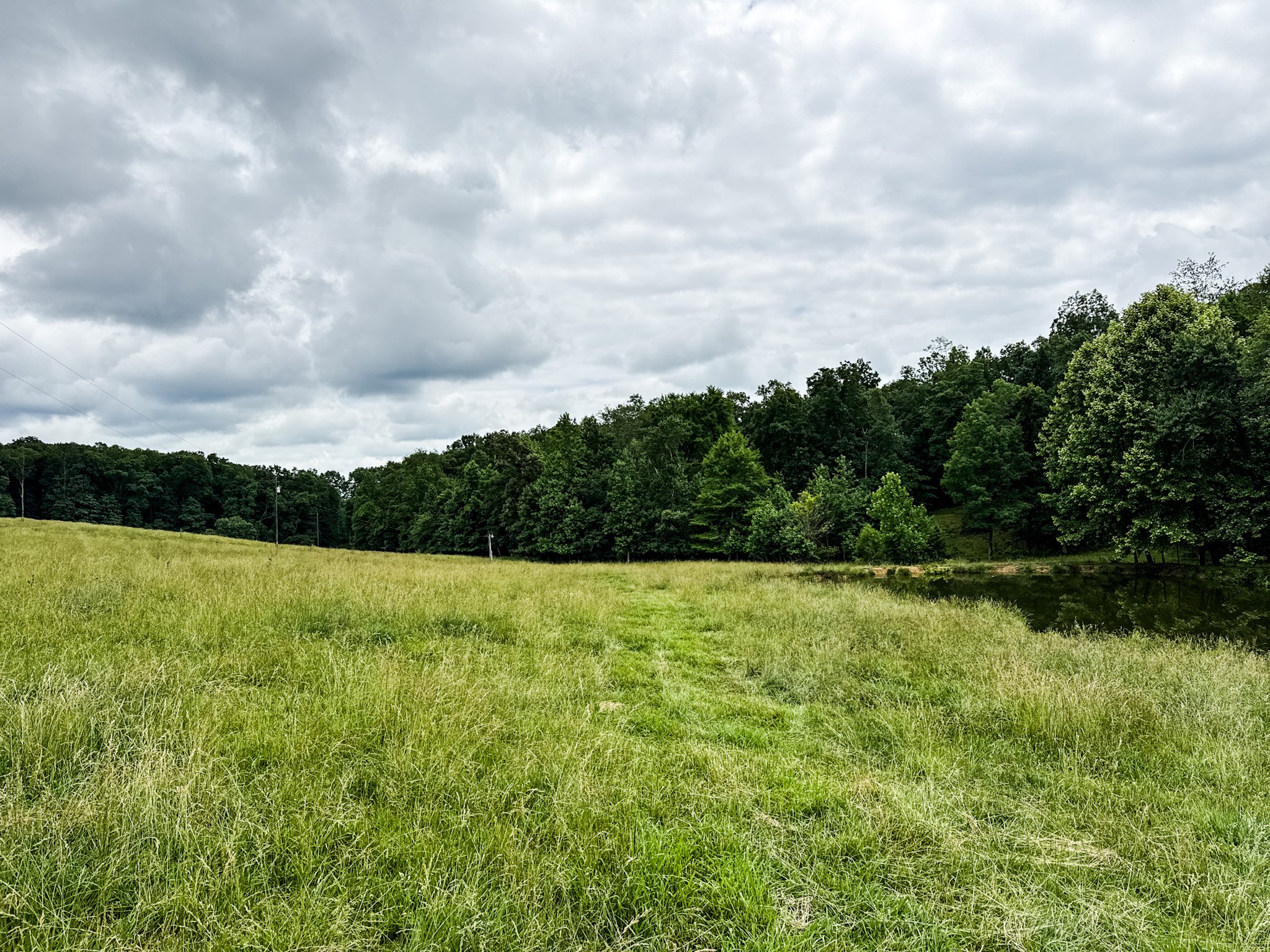 0 David Patterson Road Lutts TN 38471