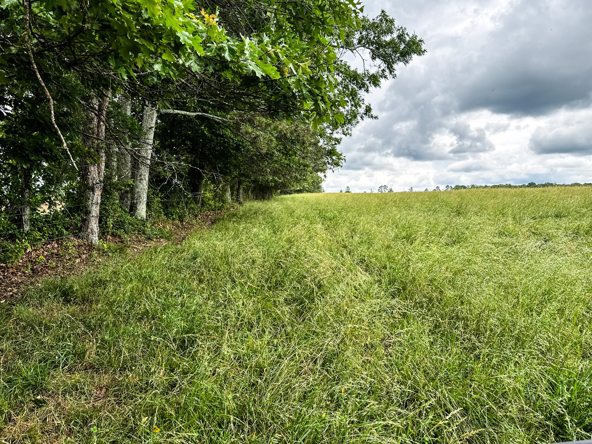 0 David Patterson Road Lutts TN 38471