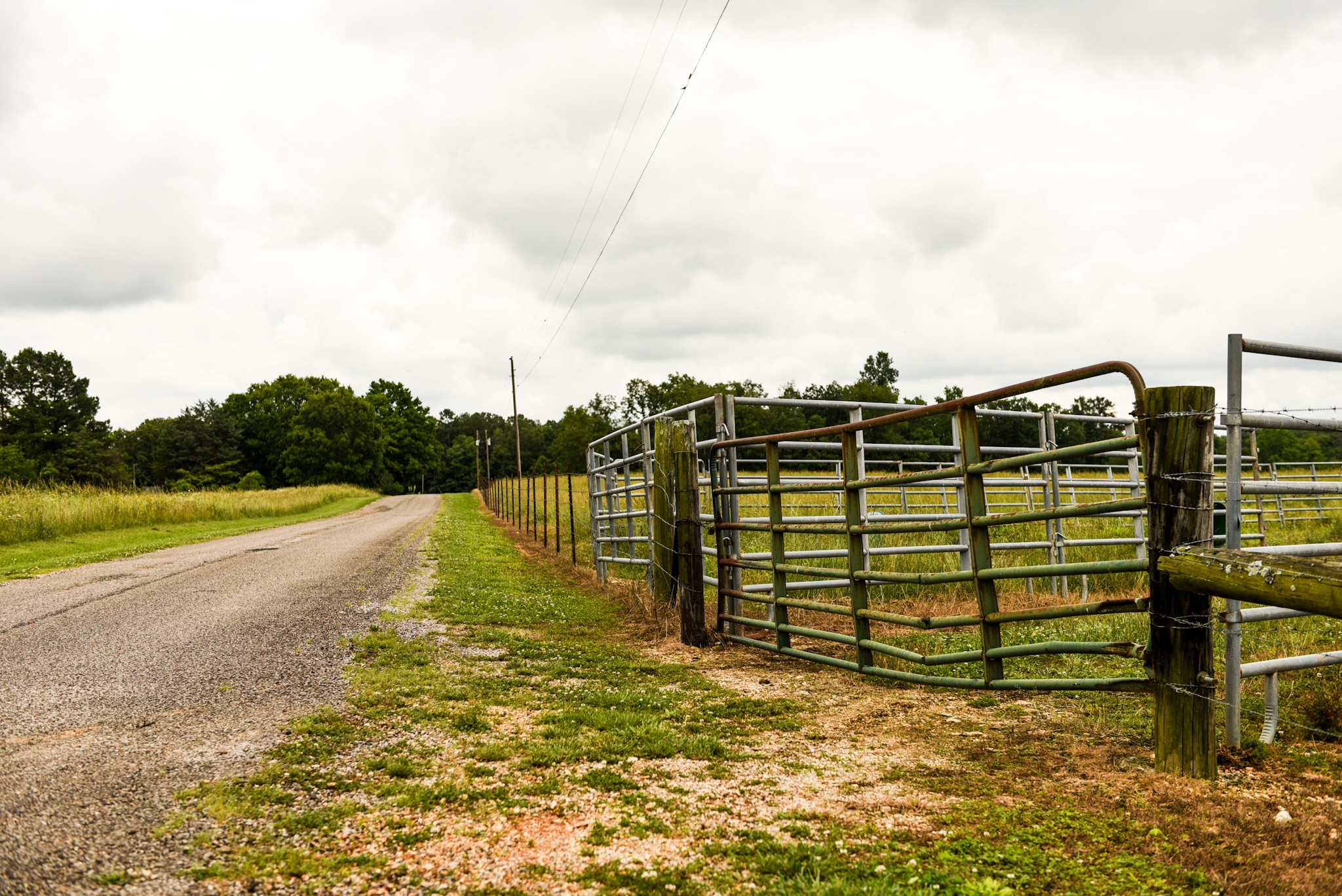 0 David Patterson Road Lutts TN 38471