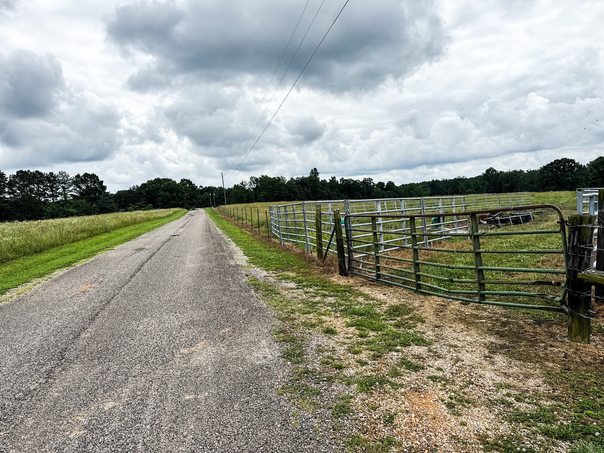 0 David Patterson Road Lutts TN 38471