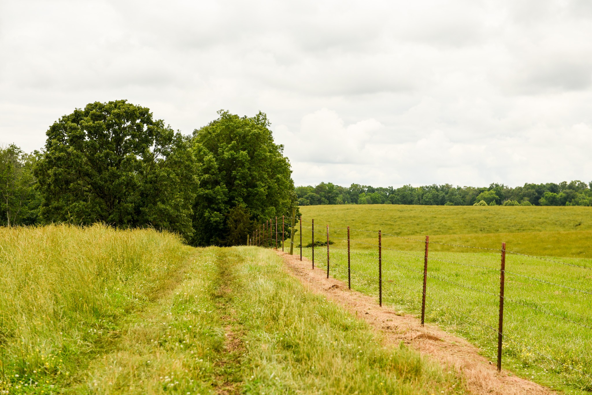 0 David Patterson Road Lutts TN 38471