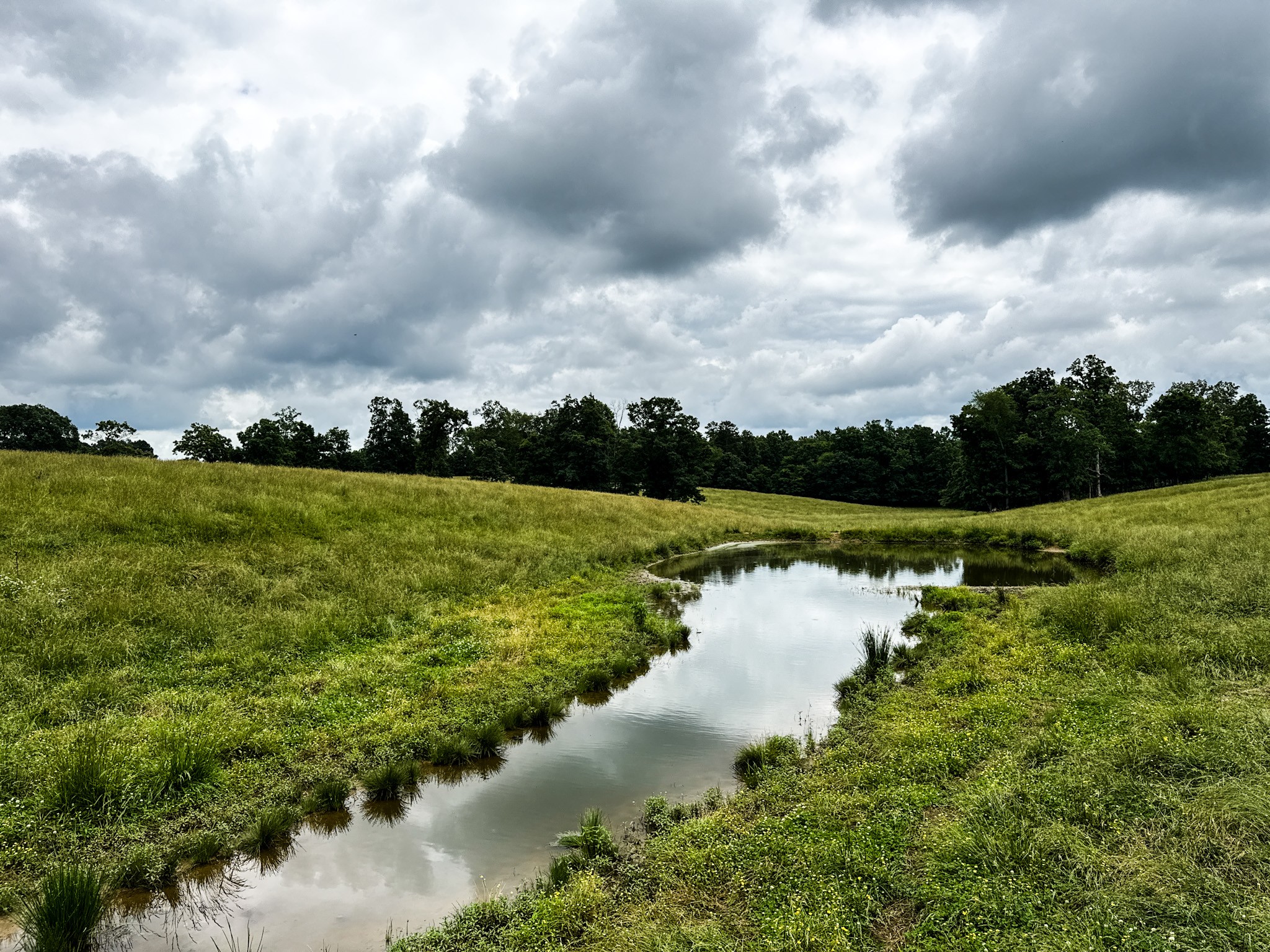 0 David Patterson Road Lutts TN 38471