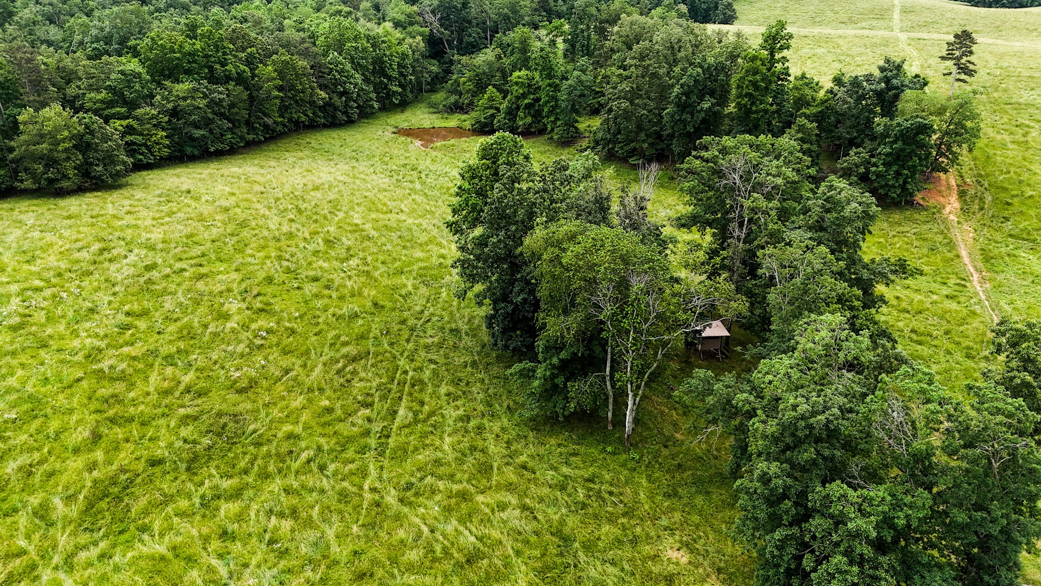0 David Patterson Road Lutts TN 38471