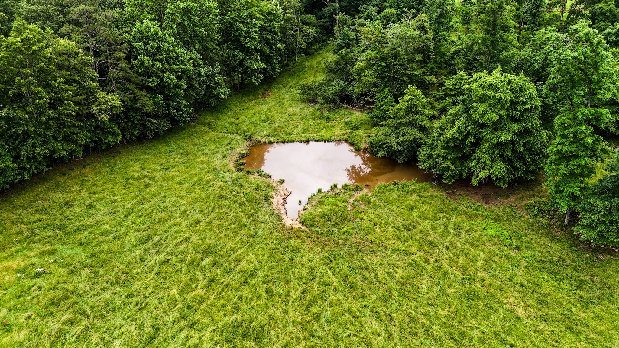 0 David Patterson Road Lutts TN 38471