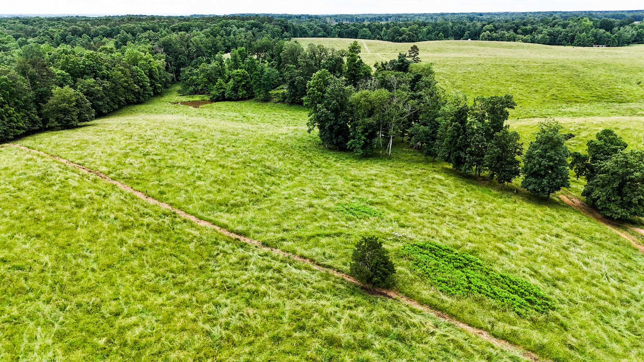 0 David Patterson Road Lutts TN 38471