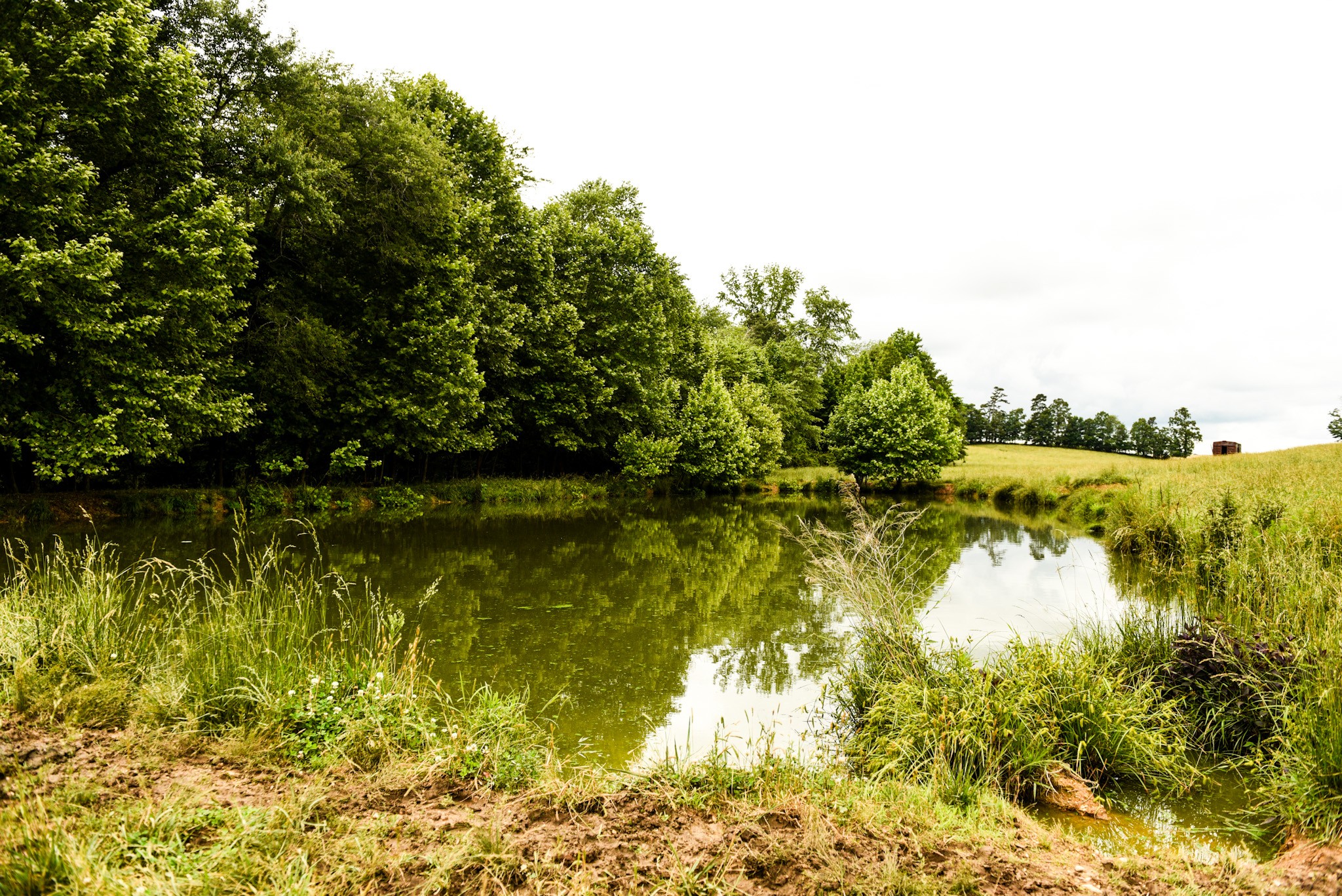 0 David Patterson Road Lutts TN 38471