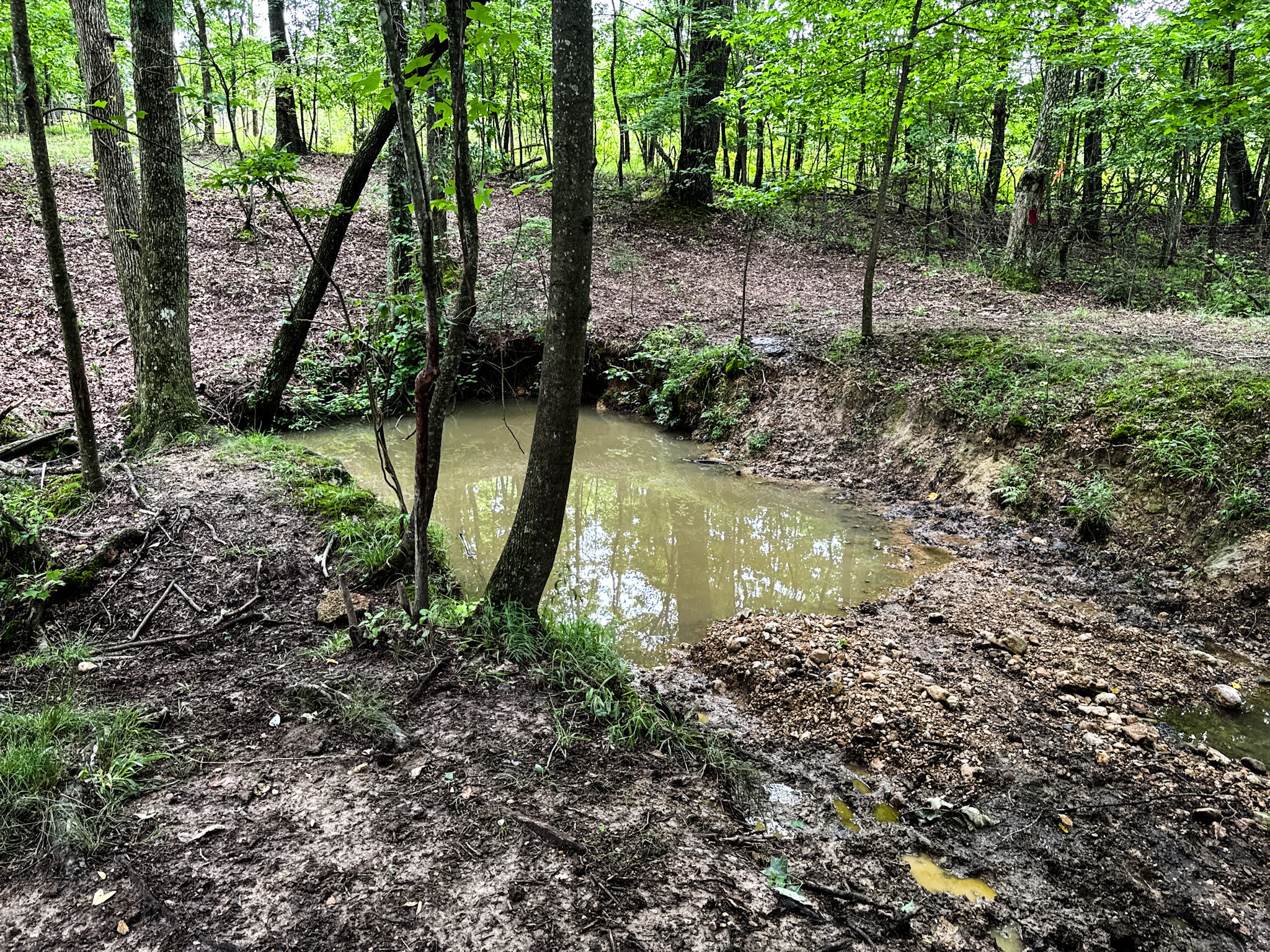 0 David Patterson Road Lutts TN 38471