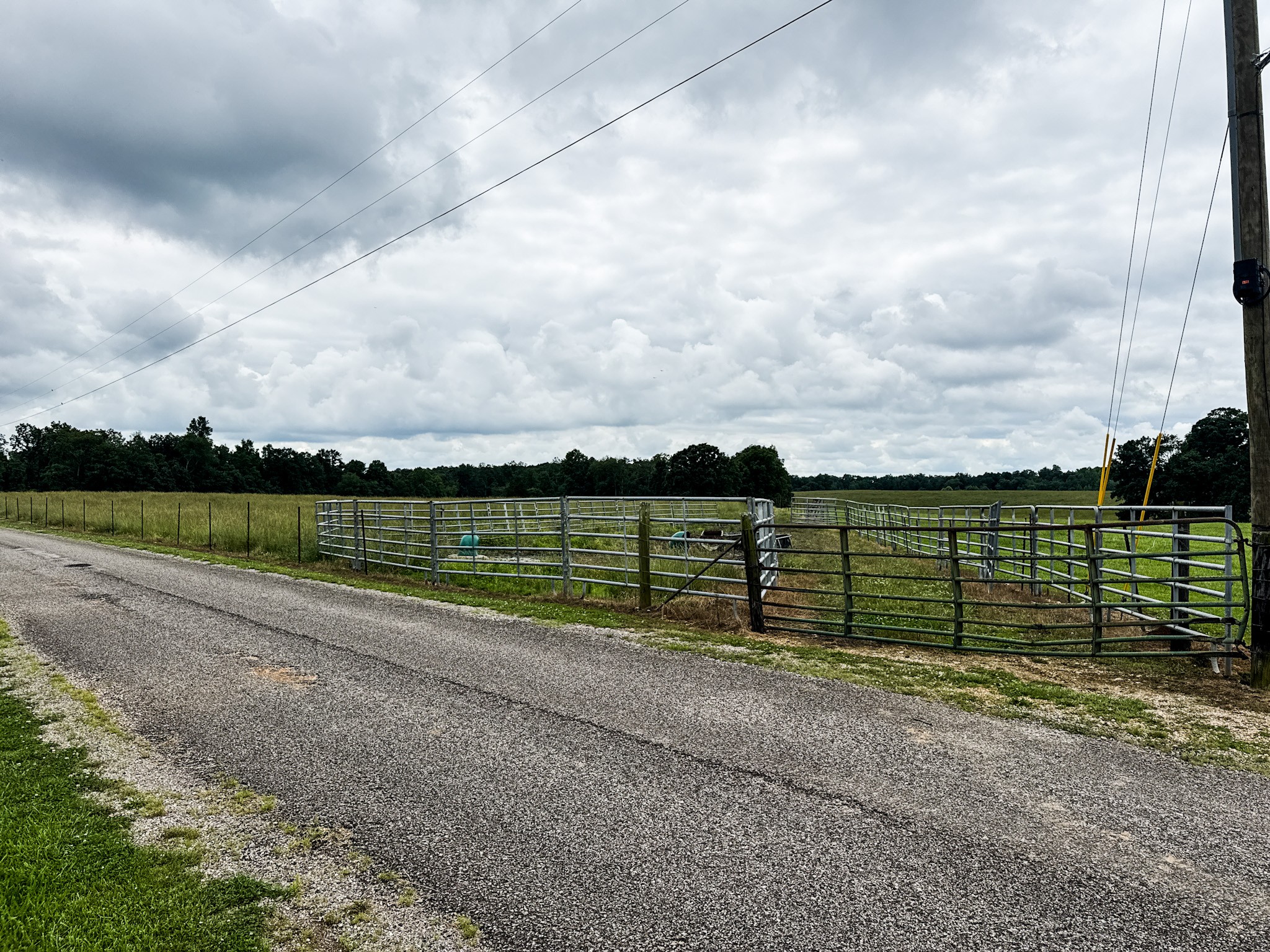 0 David Patterson Road Lutts TN 38471