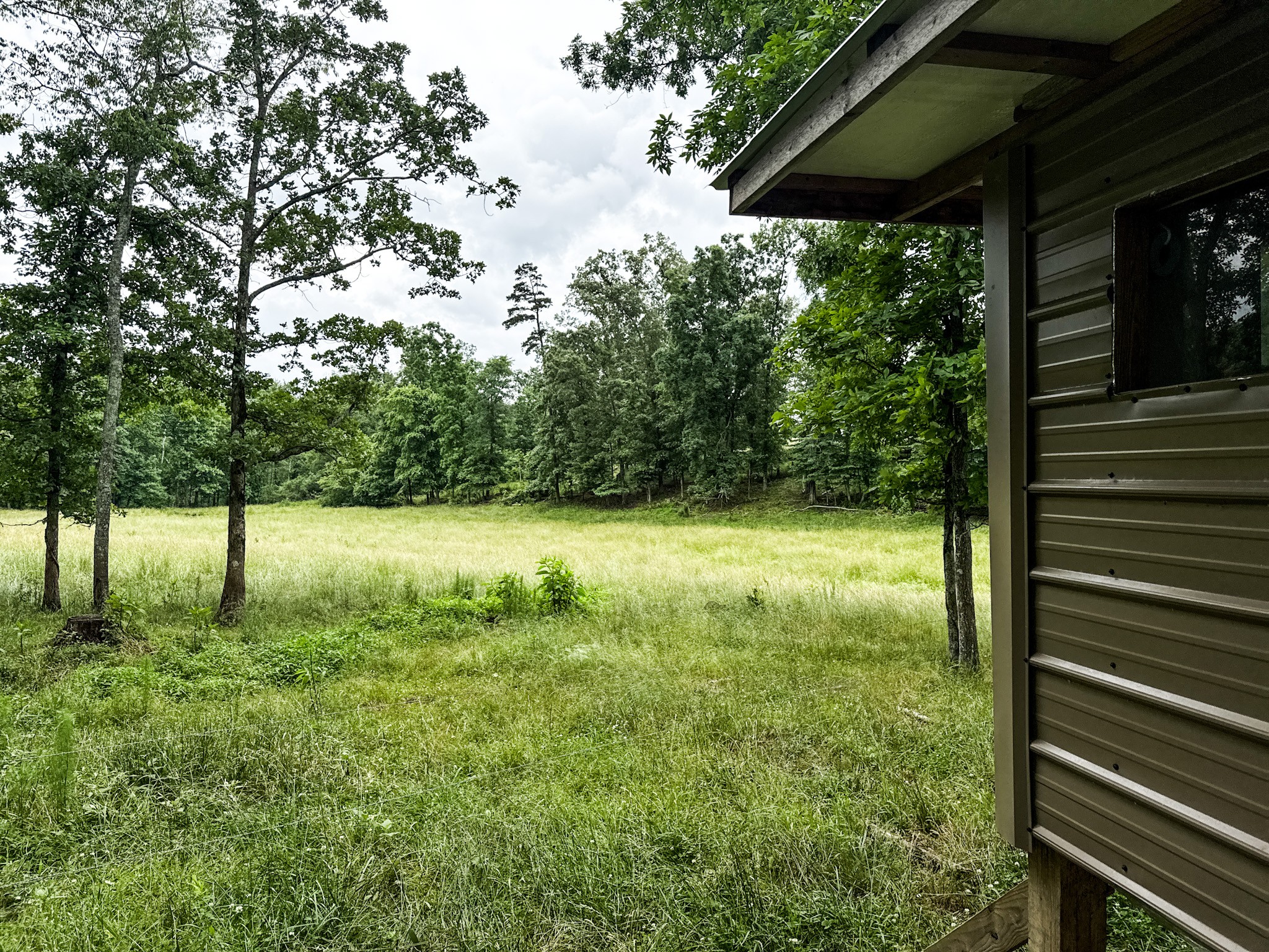 0 David Patterson Road Lutts TN 38471