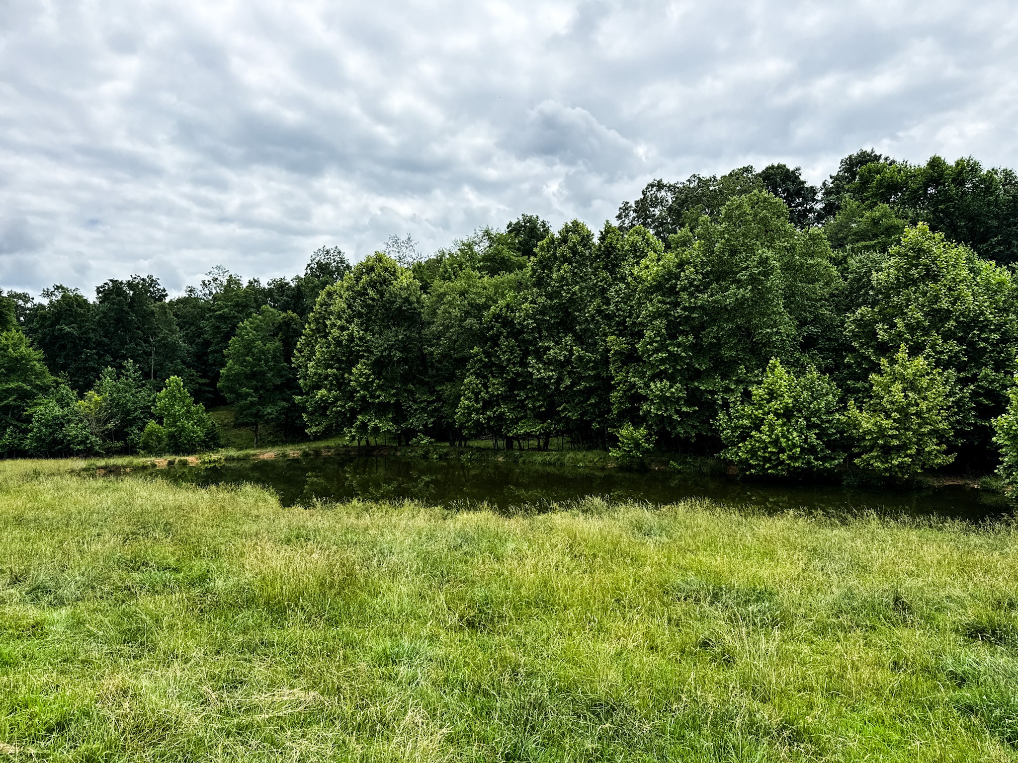 0 David Patterson Road Lutts TN 38471