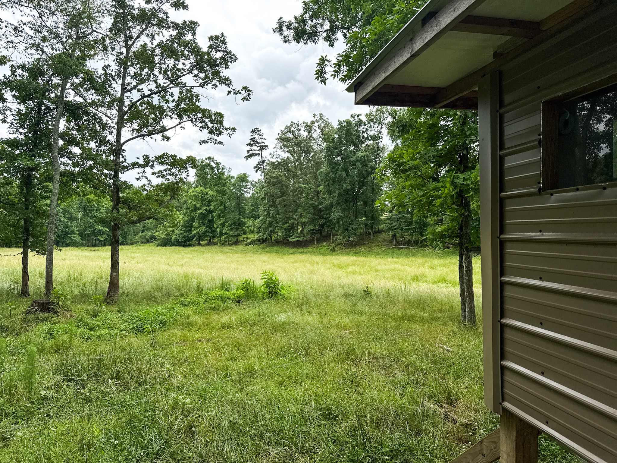 0 David Patterson Road Lutts TN 38471