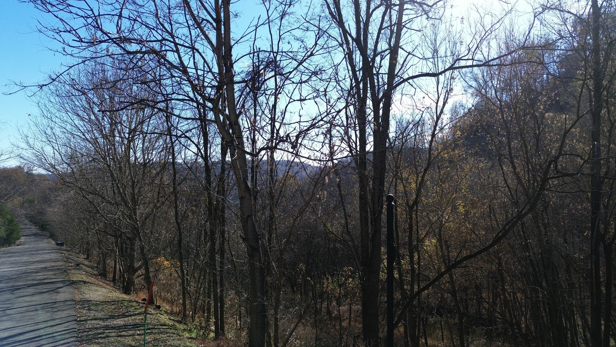 85 Blackberry Ridge Way Smithville TN 37166