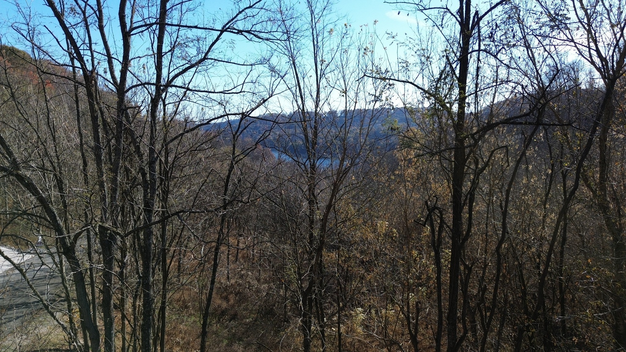85 Blackberry Ridge Way Smithville TN 37166