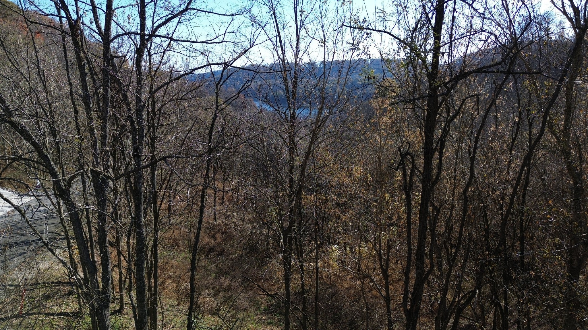 85 Blackberry Ridge Way Smithville TN 37166