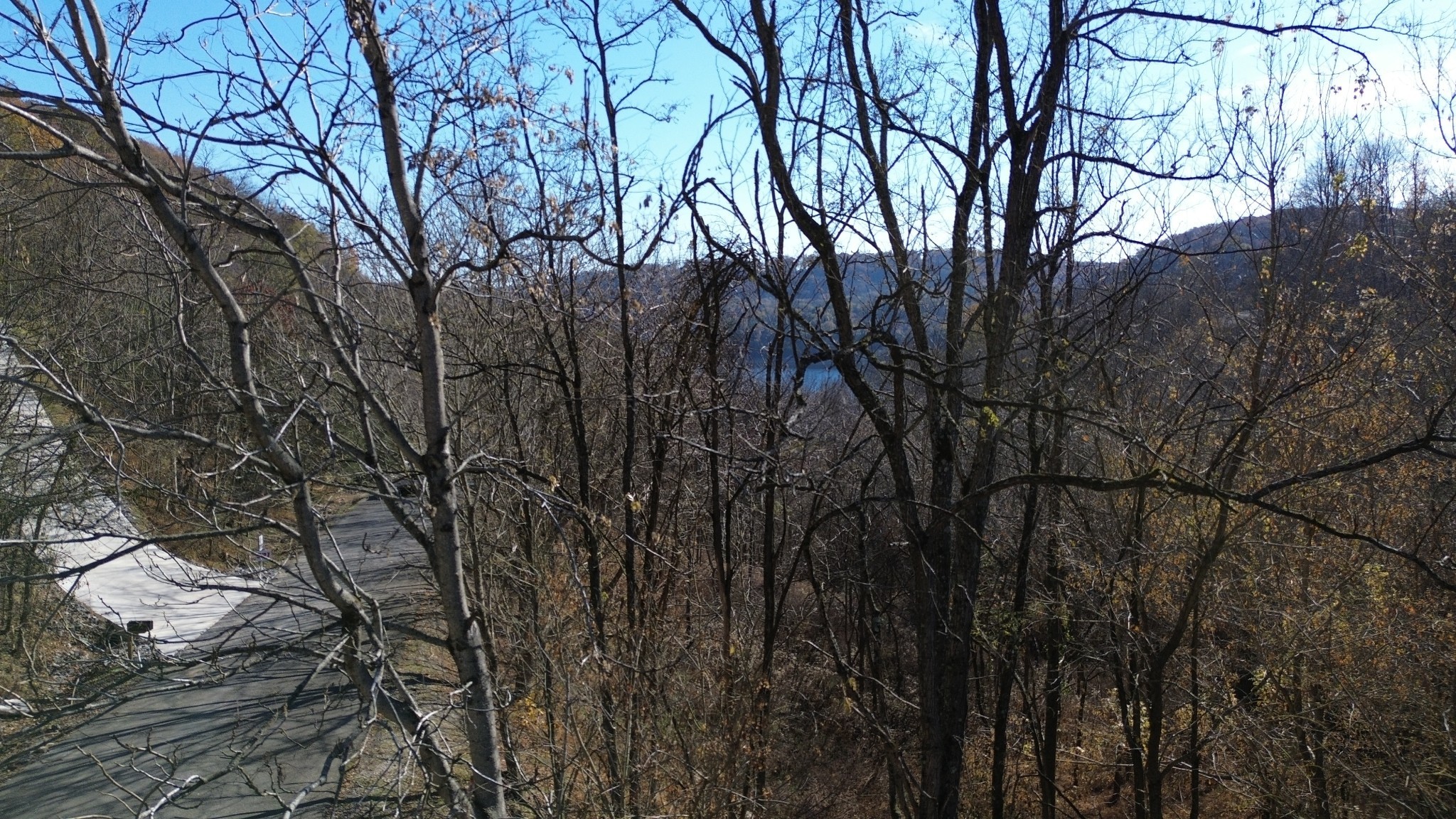 85 Blackberry Ridge Way Smithville TN 37166