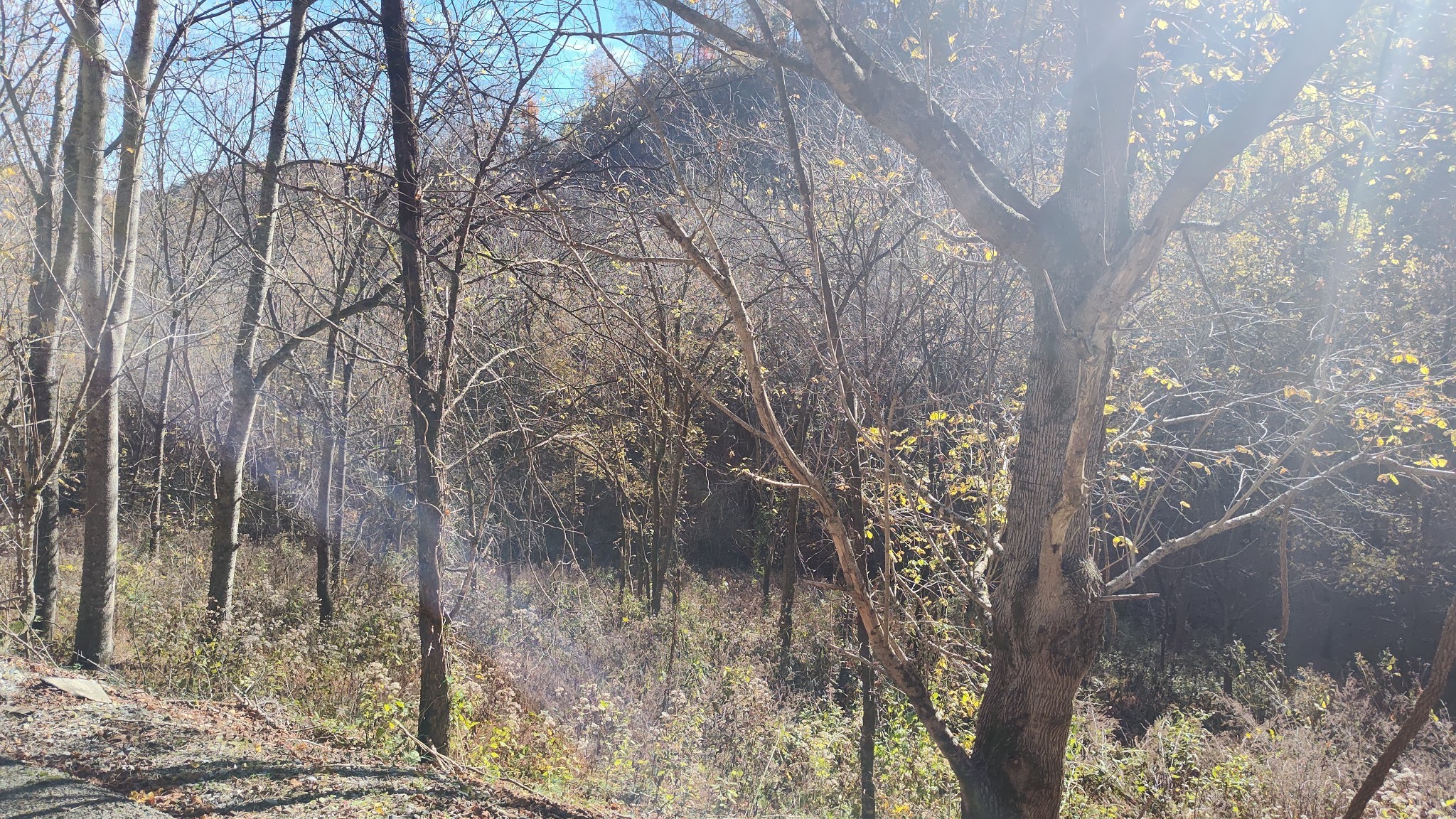 85 Blackberry Ridge Way Smithville TN 37166