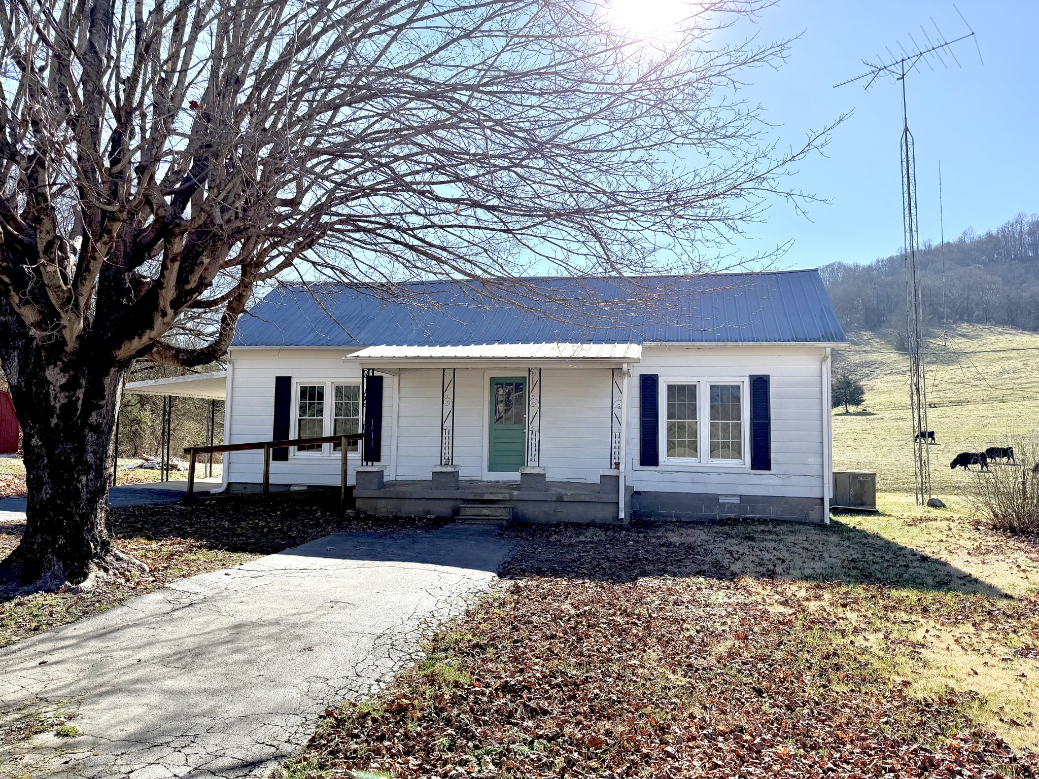 520 Pumpkin Branch Road Dixon Springs TN 37057