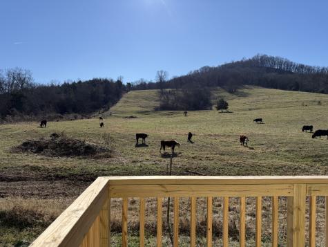 520 Pumpkin Branch Road Dixon Springs TN 37057