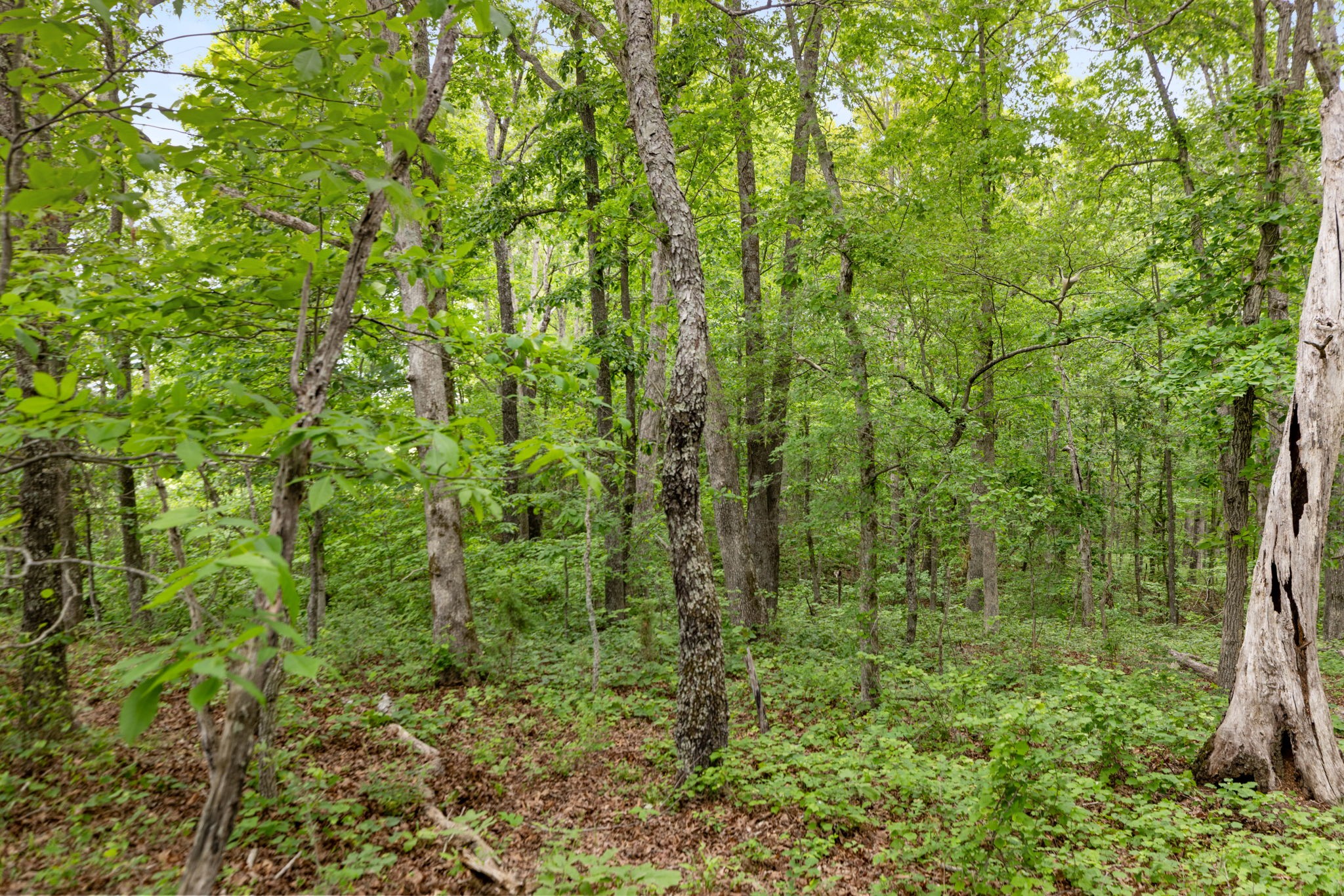 0 Old Number One Road Dickson TN 37055