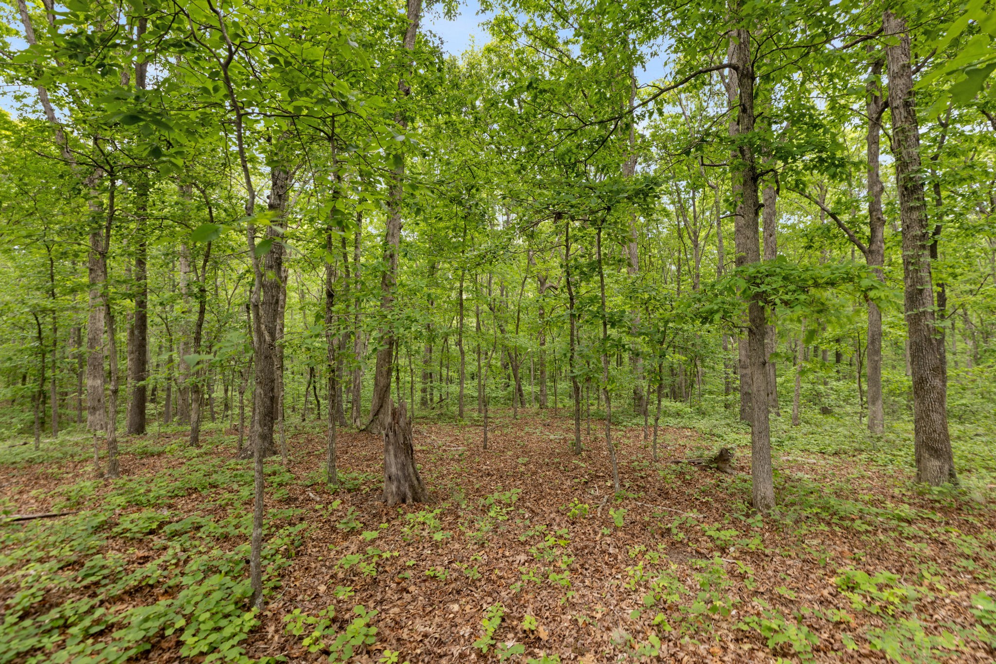 0 Old Number One Road Dickson TN 37055