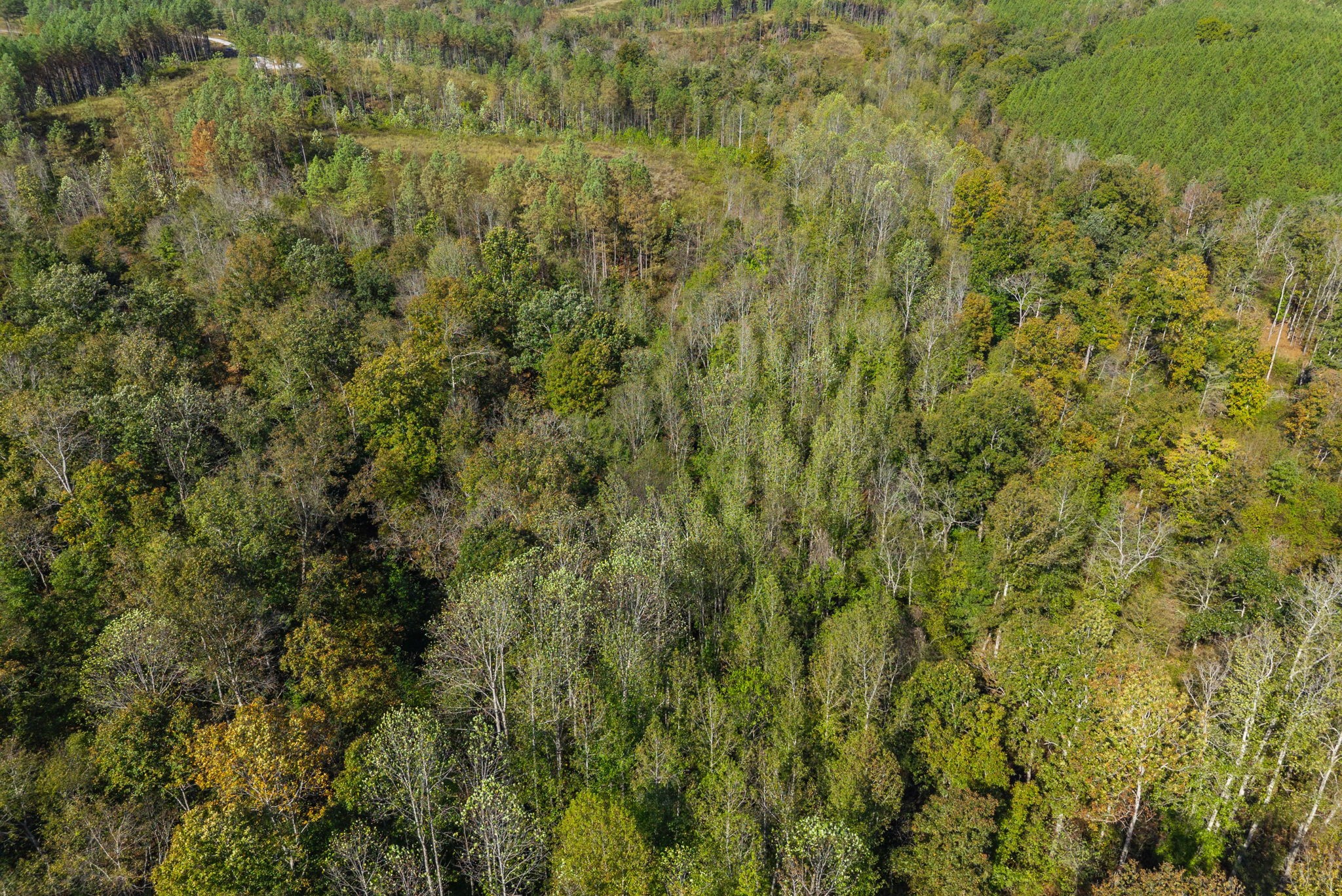 0 Sagebrush Way Dover TN 37058