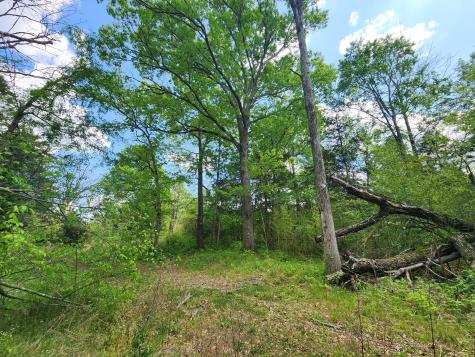 0 Murray Kittrell Road Readyville TN 37149