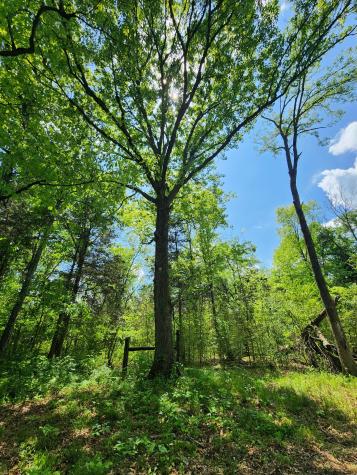 0 Murray Kittrell Road Readyville TN 37149
