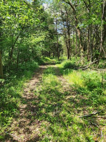 0 Murray Kittrell Road Readyville TN 37149