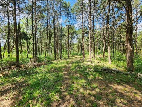 0 Murray Kittrell Road Readyville TN 37149