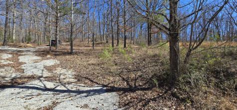11104 Cuba Landing Road Waverly TN 37185