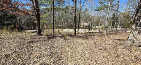 11104 Cuba Landing Road Waverly TN 37185